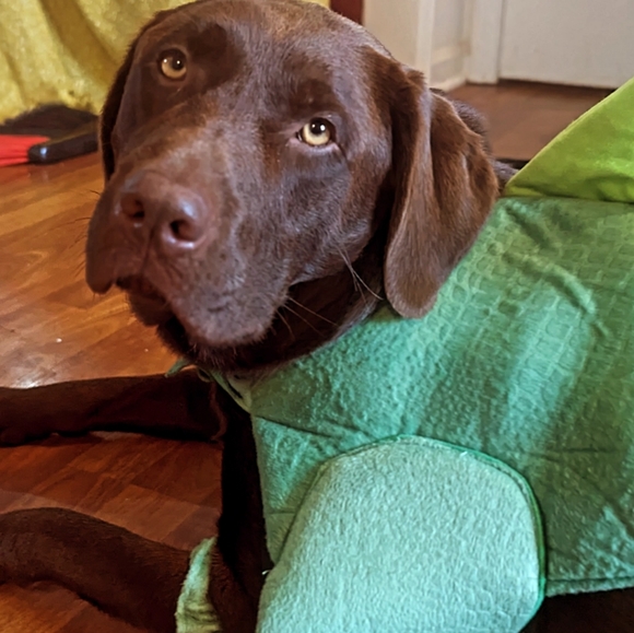 Me! - Picture 5 of 5